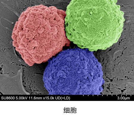 1757984798732011088.png 1757984798732011088.png