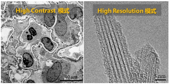 20250730 细胞生物学平台电镜机组日立HT7800透射电子显微镜培训通知 封面图.jpg