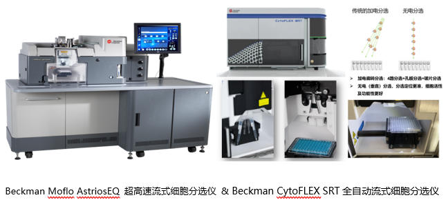 1762334953827096690.jpg 20251113 共享仪器平台贝克曼库尔特流式分选系统技术交流与培训会通知 封面图.jpg