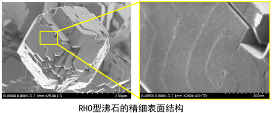 1757984766836075011.png 20250916 细胞生物学平台日立(Hitachi)SU8600冷场发射扫描电子显微镜上机培训通知 内插1.png