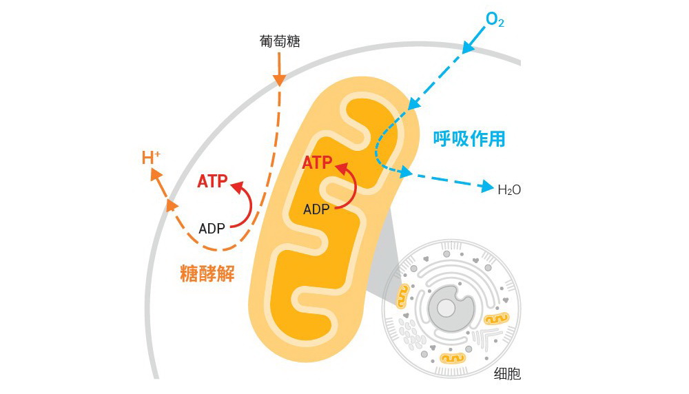 1762767739939065010.jpg 1762767739939065010.jpg